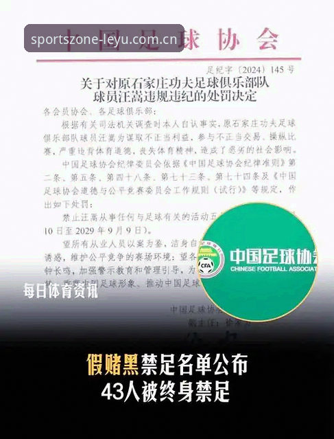 足协第三批禁足名单实用指南——从新闻事件看职业足球的诚信危机与净化之路